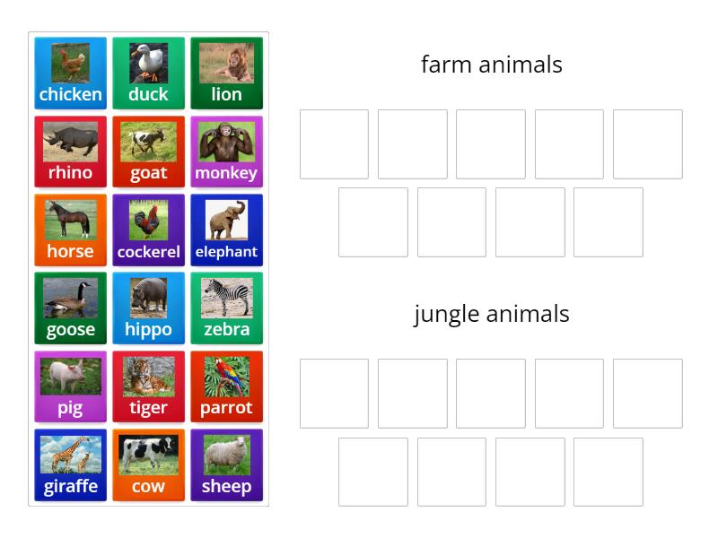 Animal sorting (farm vs wild) - Group sort