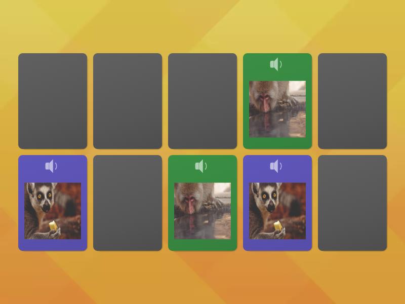 Monkey Activities - 1 - Matching pairs