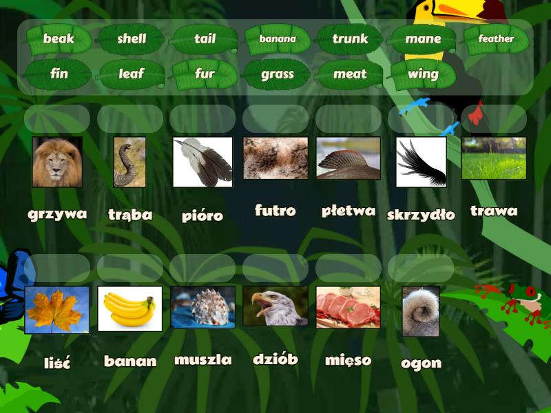 zoo nouns