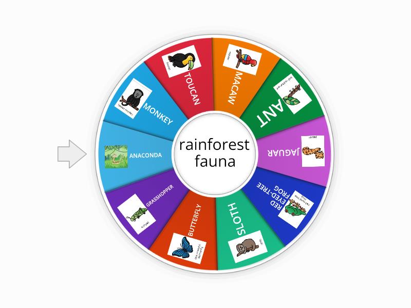 Rainforest fauna - Spin the wheel