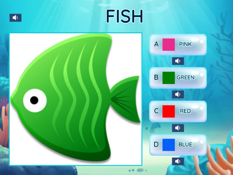 Colors - - Quiz