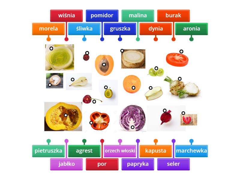 Jesienne dary sadu i ogrodu - Labelled diagram