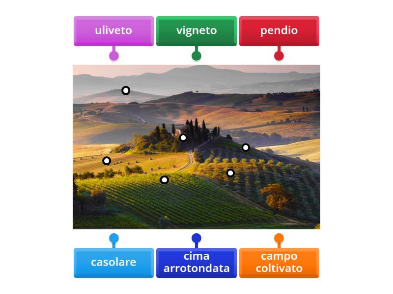 La Collina Labelled Diagram