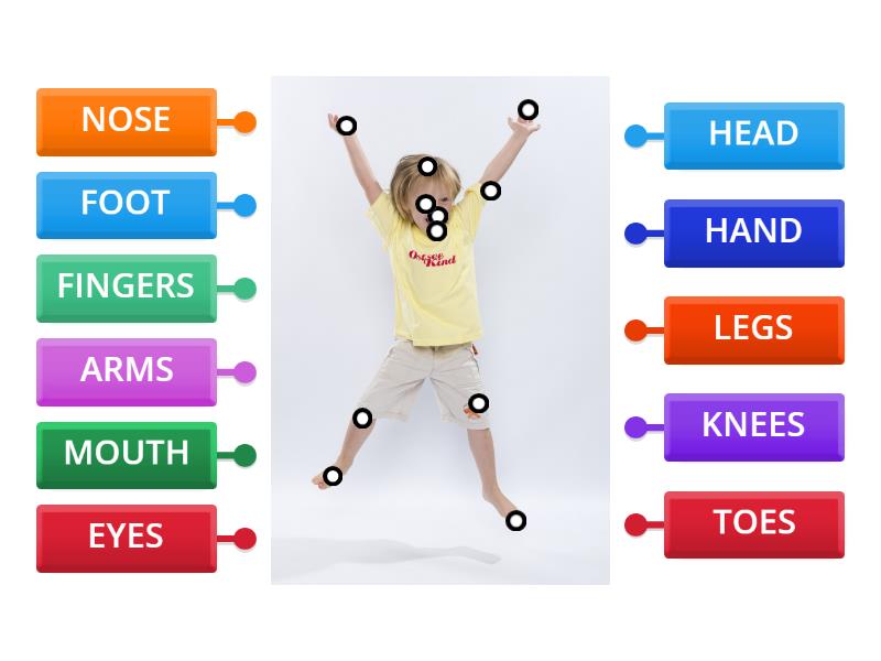 Cadu - Parts of the body -Label - Labelled diagram