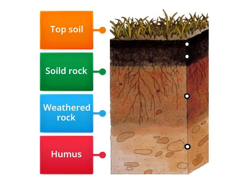 Soil horizons - Labelled diagram