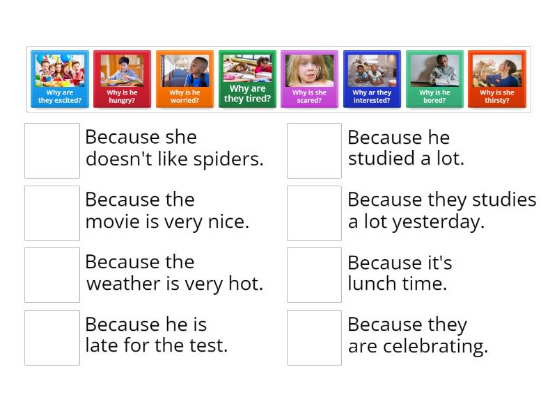 Why / Because - Match up