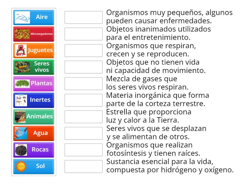 Seres vivos e inertes - Match up