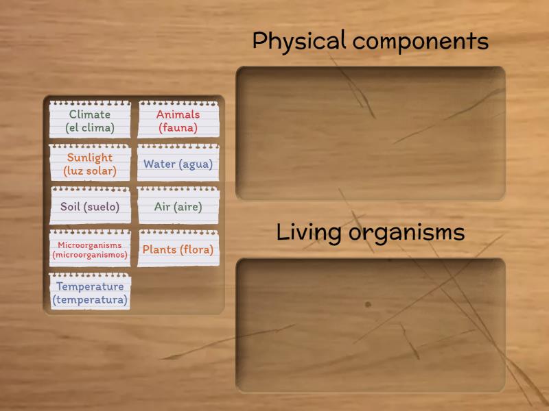 Elements of an ecosystem - Group sort