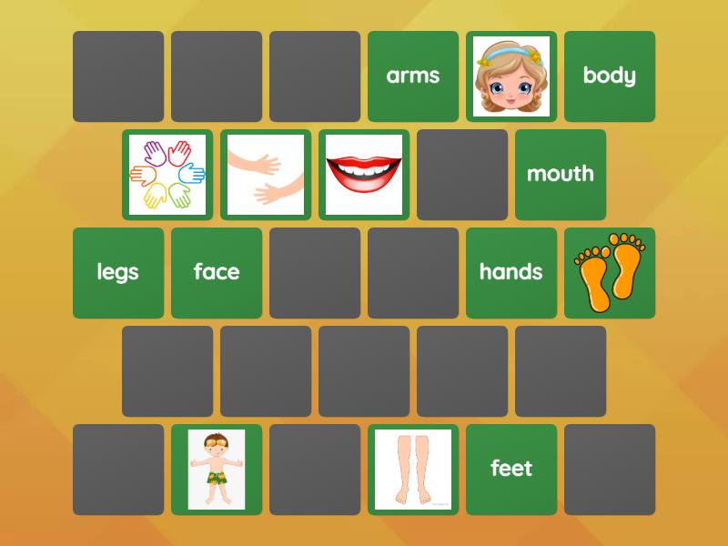 Beehive 1 unit 5 Body Parts - Matching pairs