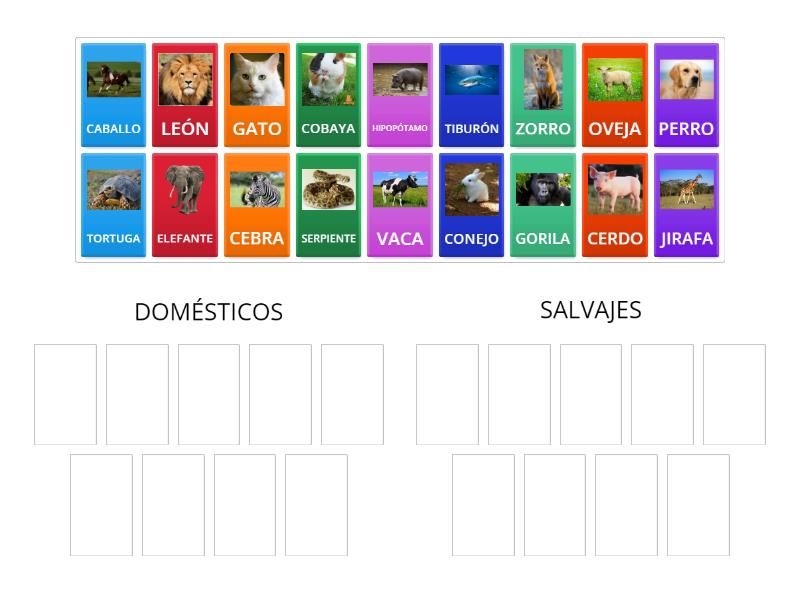 ANIMALES - Group sort