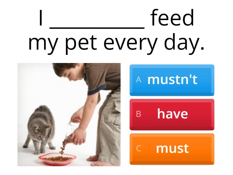 2-2 Copy of Must - Quiz