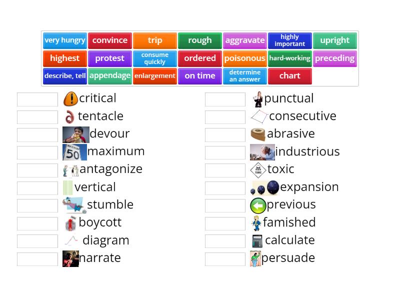 Vocabulary - Match up