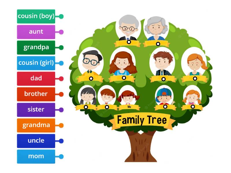 Family Tree - Labelled diagram