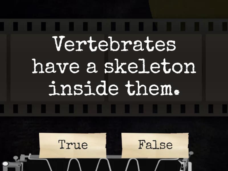 Vertebrates vs invertebrates - True or false