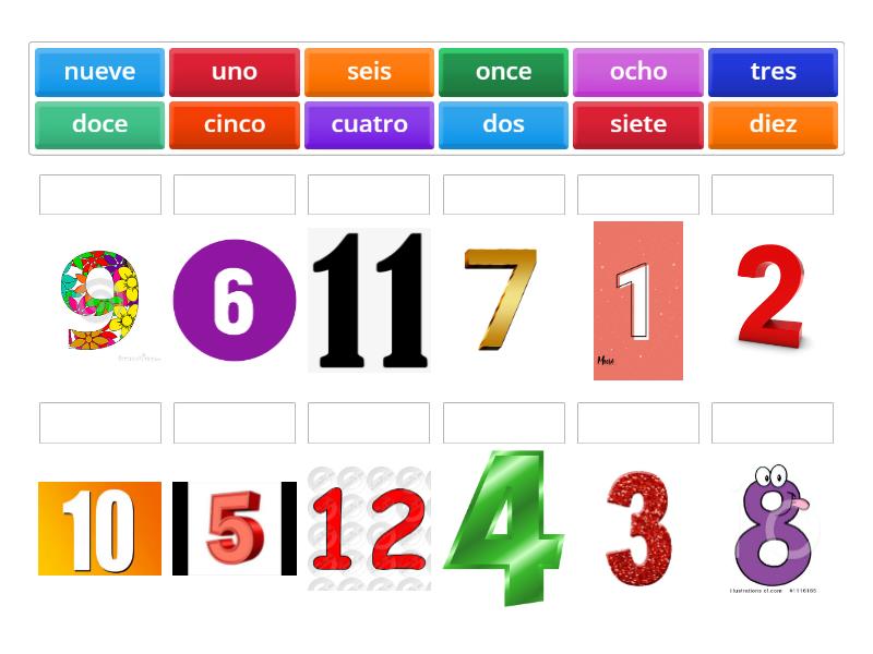 Números 1-12 - Match up