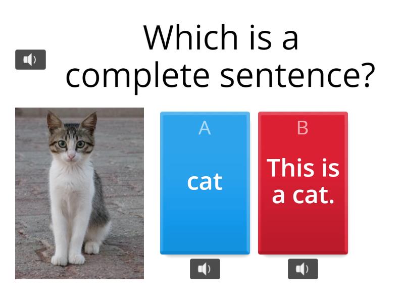 9-26-23-complete-sentences-quiz