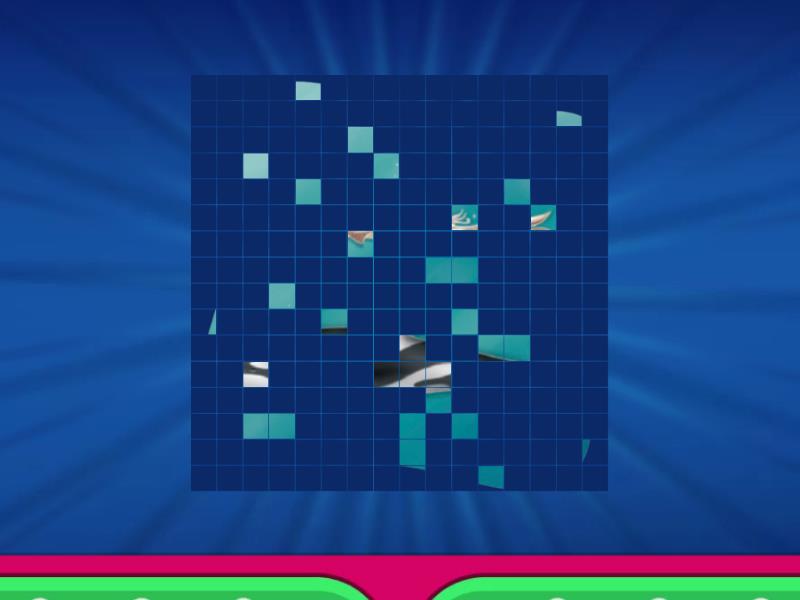 EU4_2 The eel is as long as the seal - Image quiz