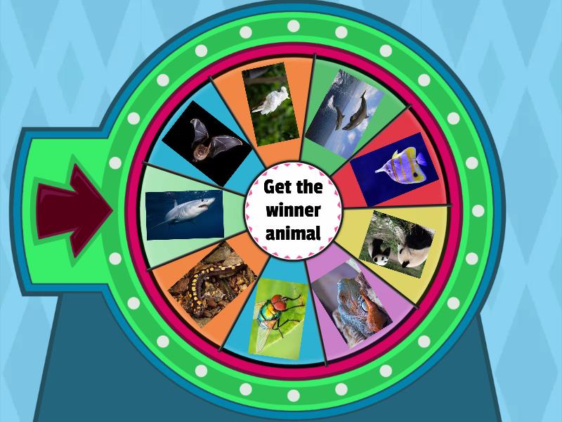 ANIMAL GROUPS??? - Random wheel