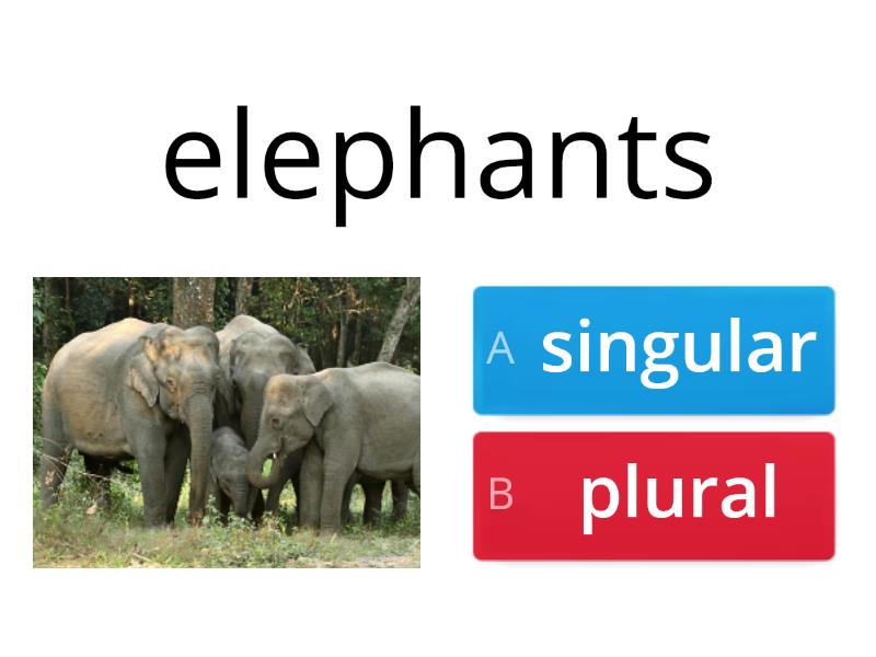 Singular And Plural Nouns - Quiz