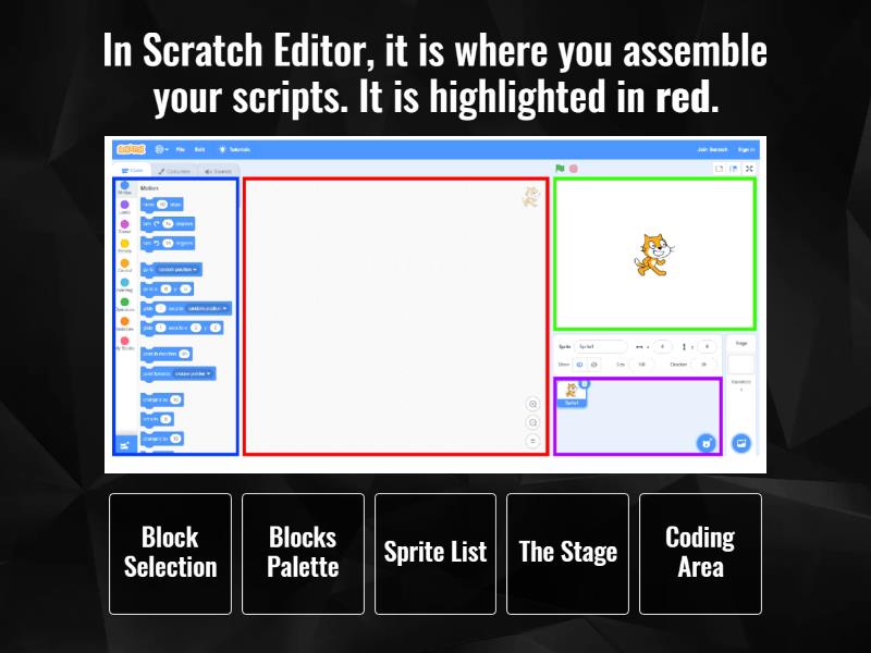 Scratch Reviewer Set 1 - Quiz