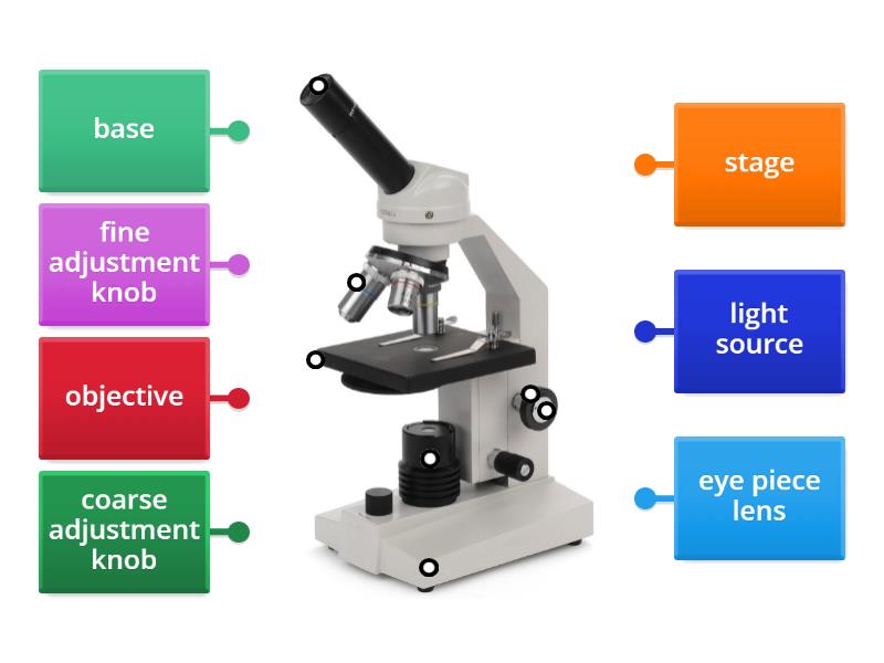 label the microscope - Labelled diagram