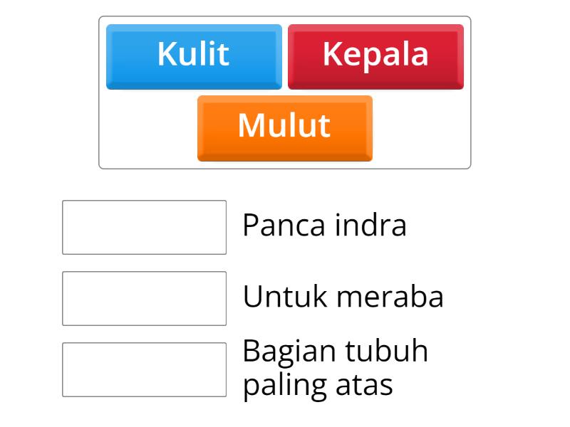 anggota tubuh - Match up