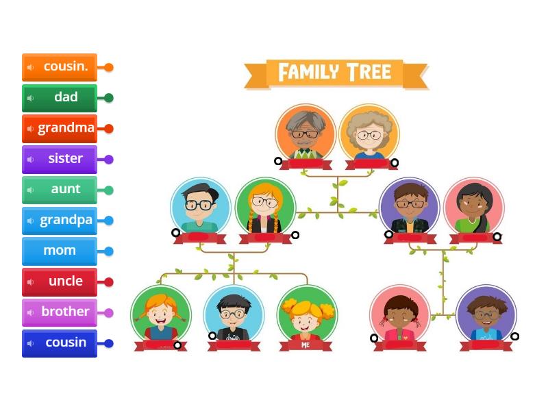 Family tree - Labelled diagram