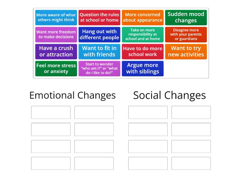 Social and Emotional changes during puberty - Group sort