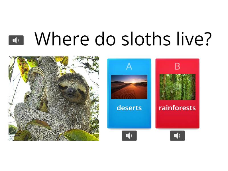 Sloths - Cuestionario