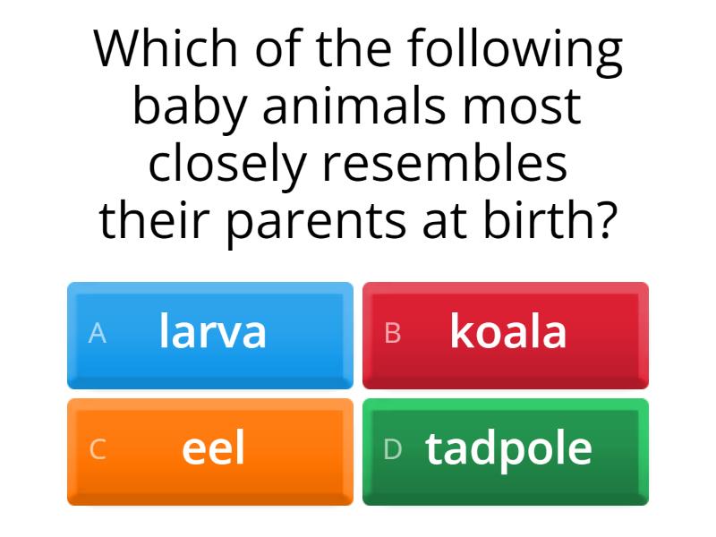 4.2 Similarities of Parents and Offspring - Science - Grade 3 - Quiz