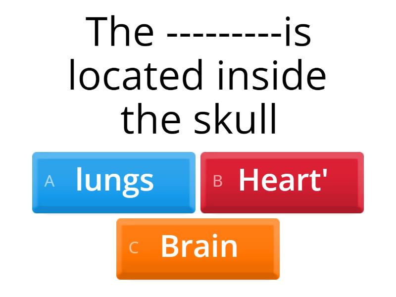4th science objective Bits Quiz