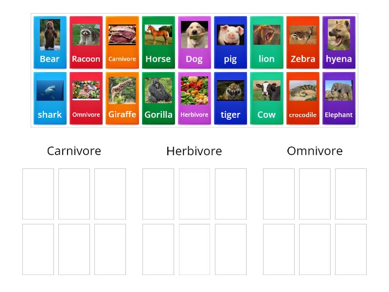 Carnivore, Herbivore and omnivore - Group sort