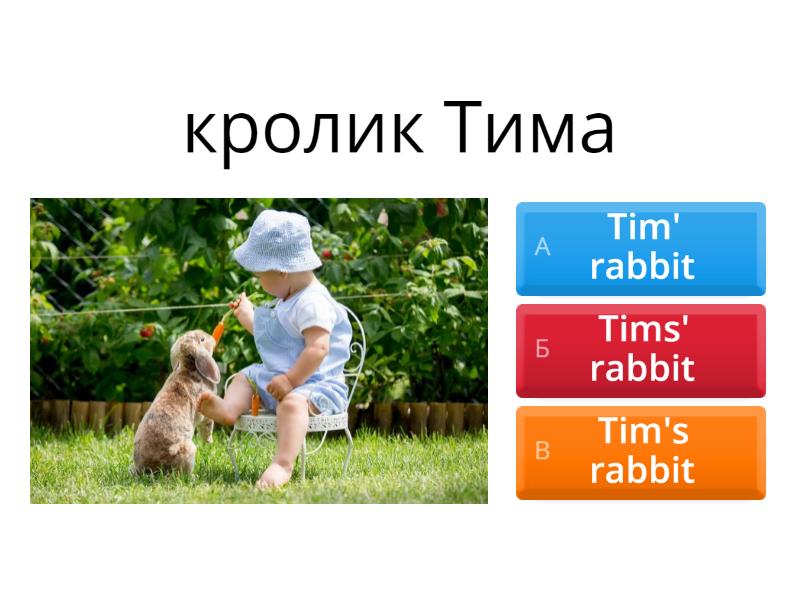 Притяжательный падеж существительных - Викторина