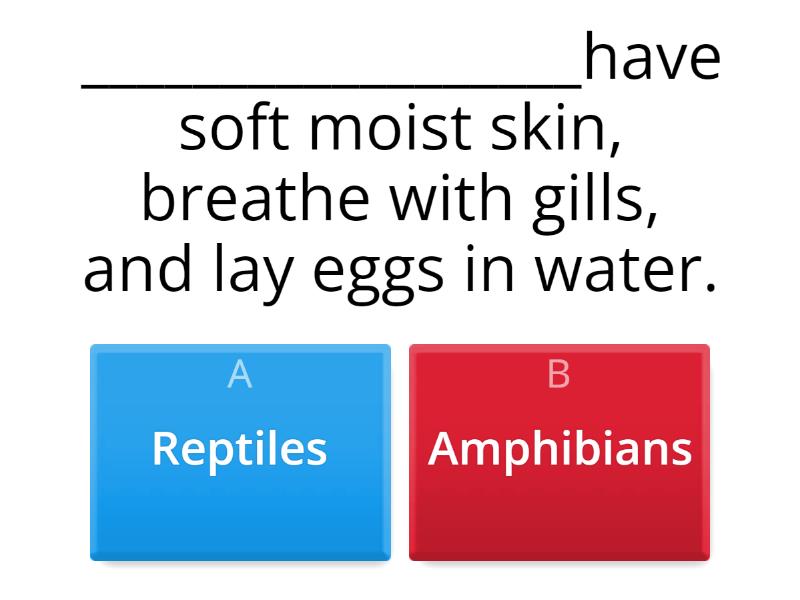 CHARACTERISTICS OF ANIMALS Quiz