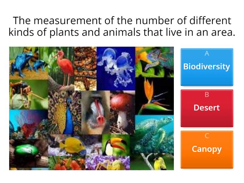 Biodiversity - Quiz