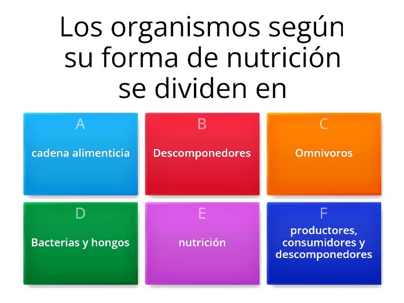 CADENA ALIMENTICIA - Quiz