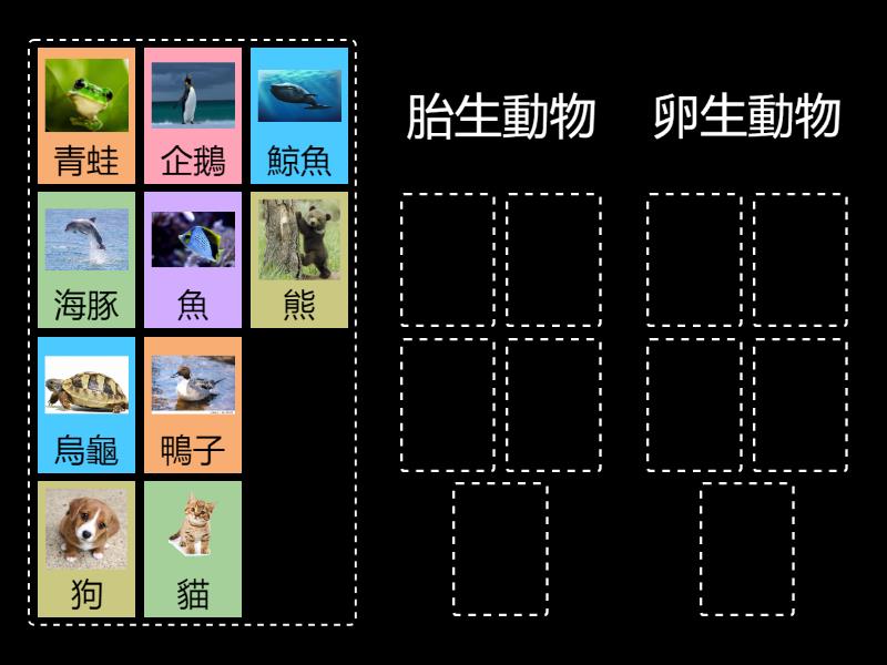 胎生與卵生動物 - 按組排序