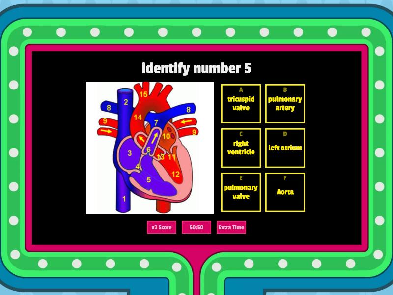 parts-of-the-heart-blood-flow-gameshow-quiz