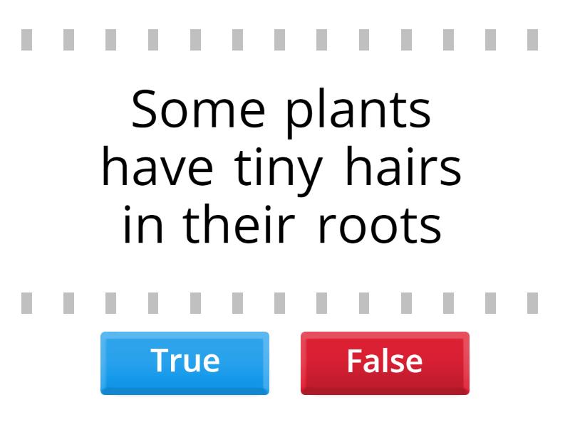 plants-true-or-false