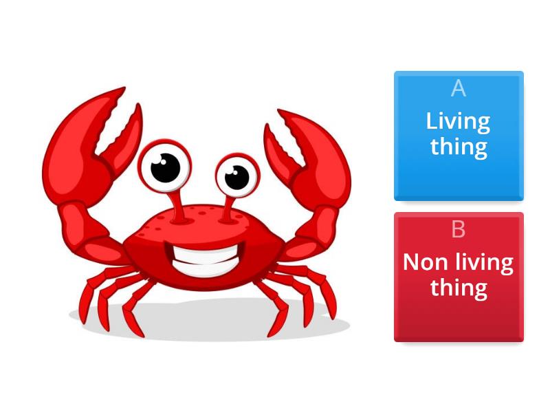 living-and-non-living-things-quiz