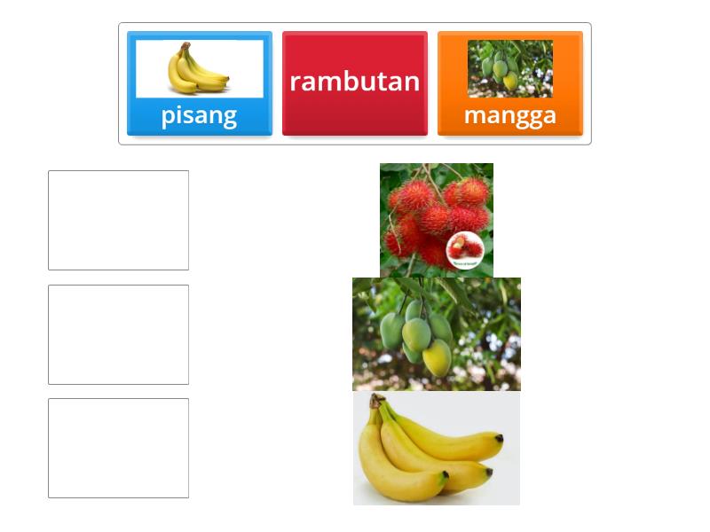 Memasangkan gambar - Match up