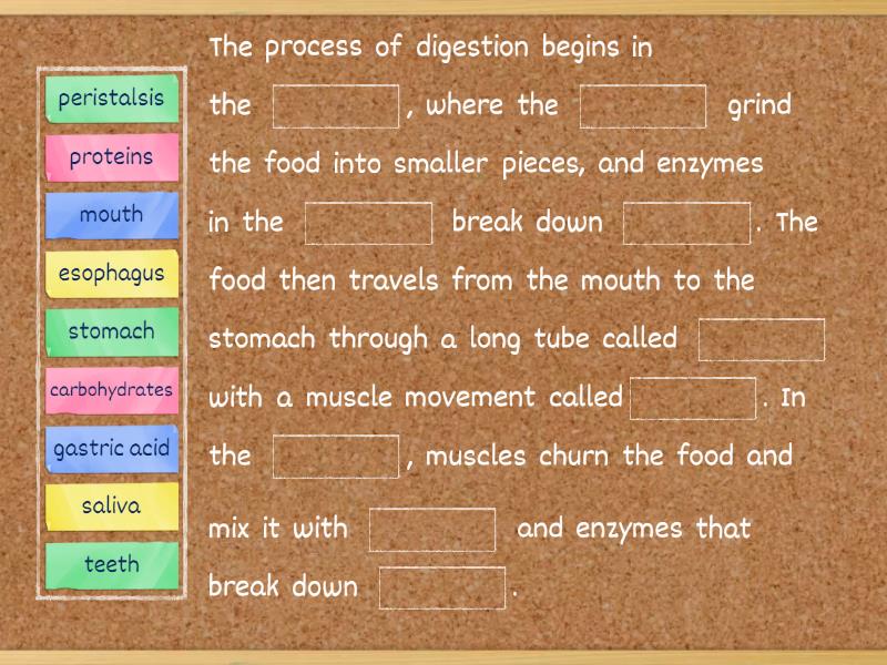 Digestion process - Completar la frase