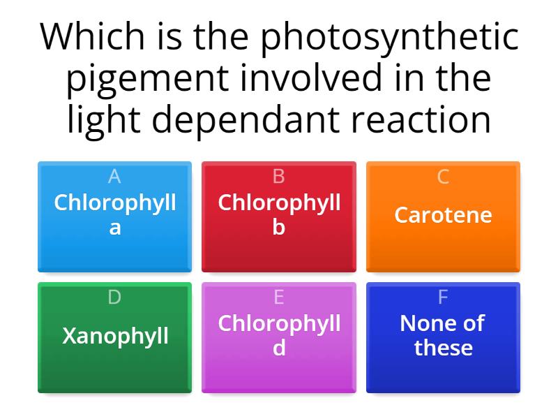 photosynthesis grade 10 quiz