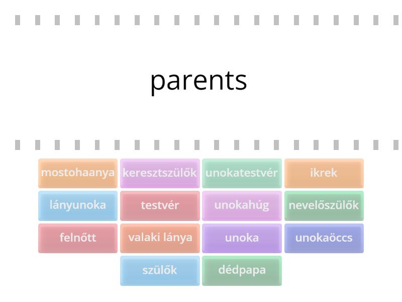 Project 1 Unit 2 family - Find the match