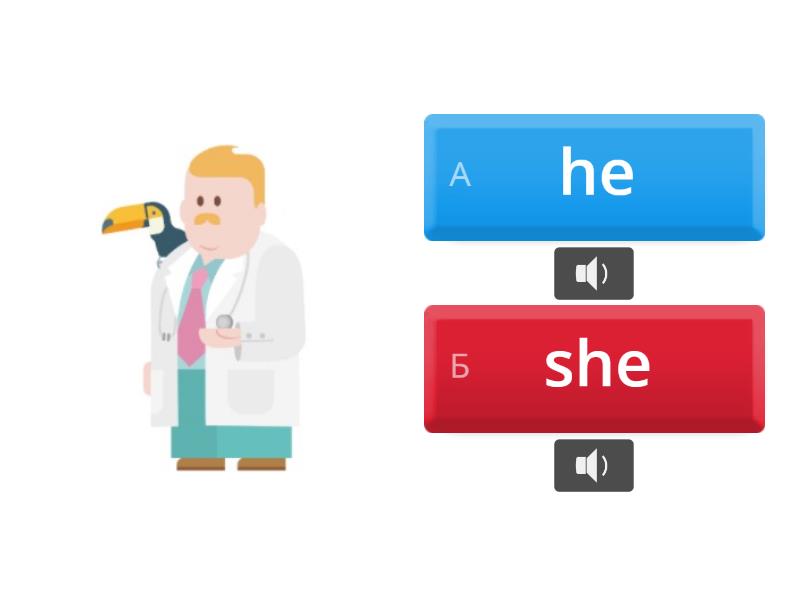 he/she - Quiz