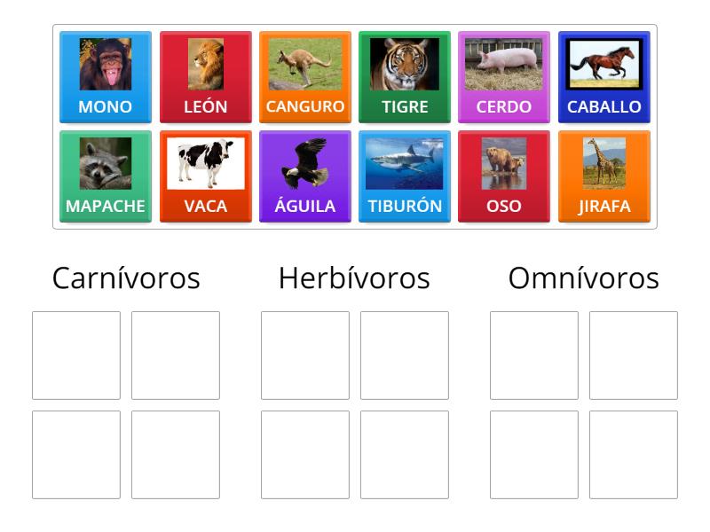 clasificar animales carnivoros, herbivoros, omnivoros - Group sort