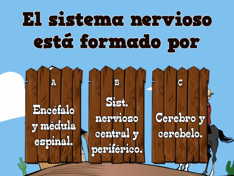 Sistema Nervioso B - Cuestionario