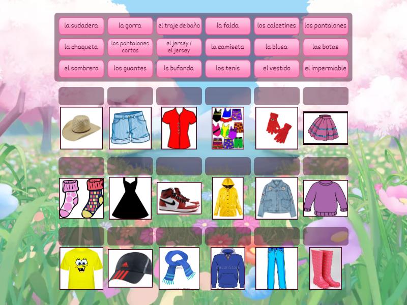 Grade 3: ROPA 1 - Match up