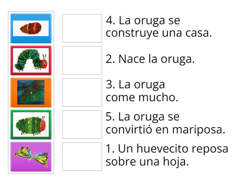 Orden De Sucesos Match Up 3481