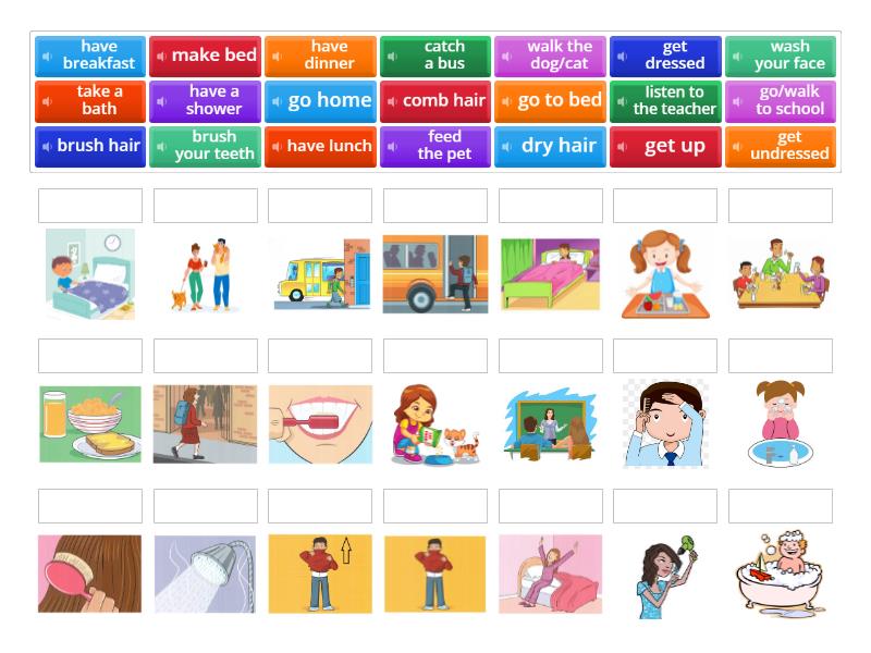 Everyday activities - Match up